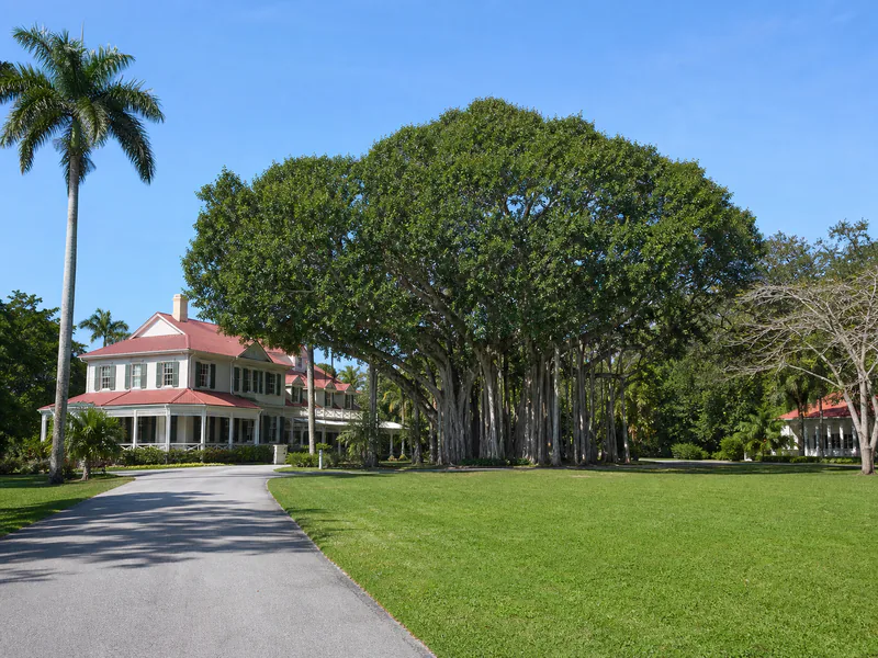 Edison and Ford Winter Estates with their historic banyan landscape in Fort Myers