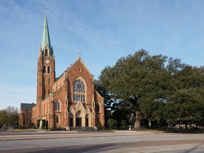 Cathedral of St. John the Evangelist and historic oak in Lafayette